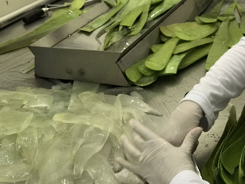 azienda-01 azienda-01