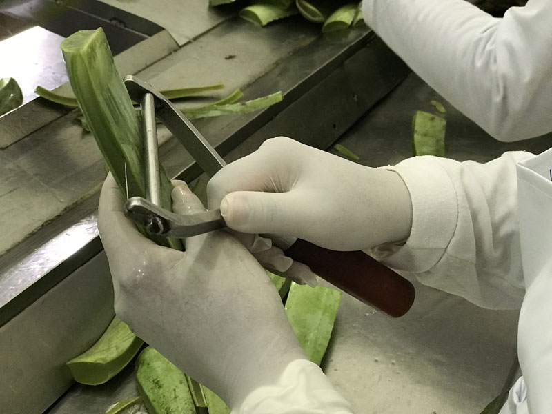 azienda-03 azienda-03